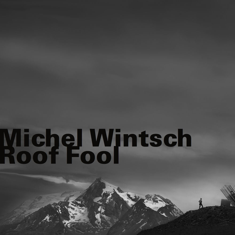 Roof Fool cover