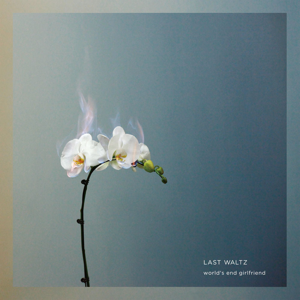 Last Waltz cover