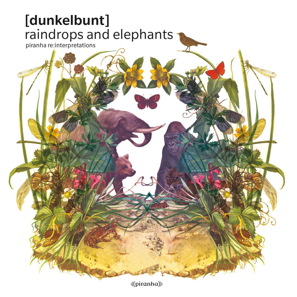 Raindrops and Elephants cover