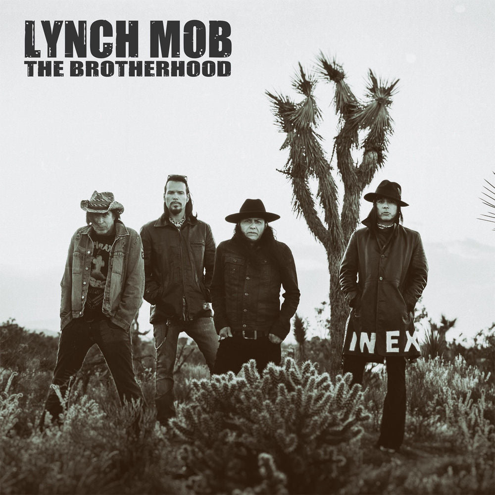 The Brotherhood cover