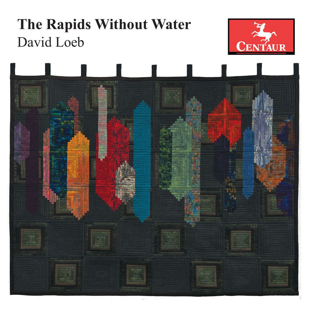The Rapids Without Water cover