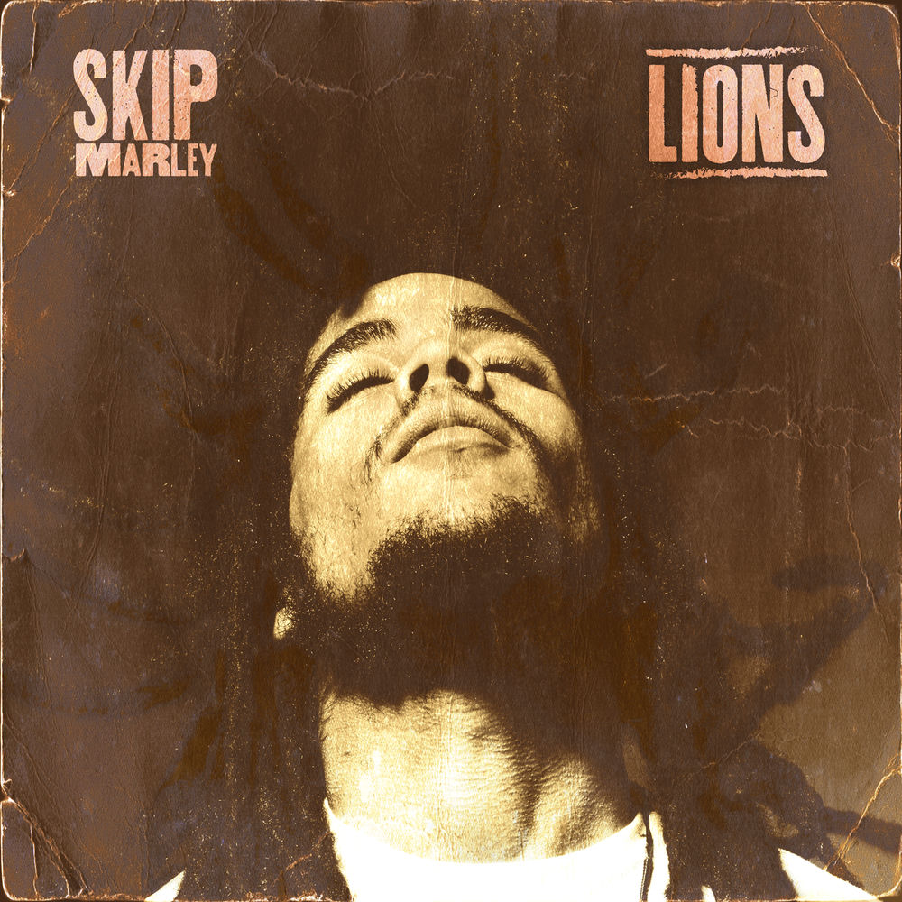 Lions [Vinyl] cover