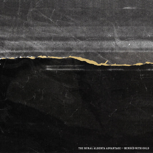 Mended With Gold cover