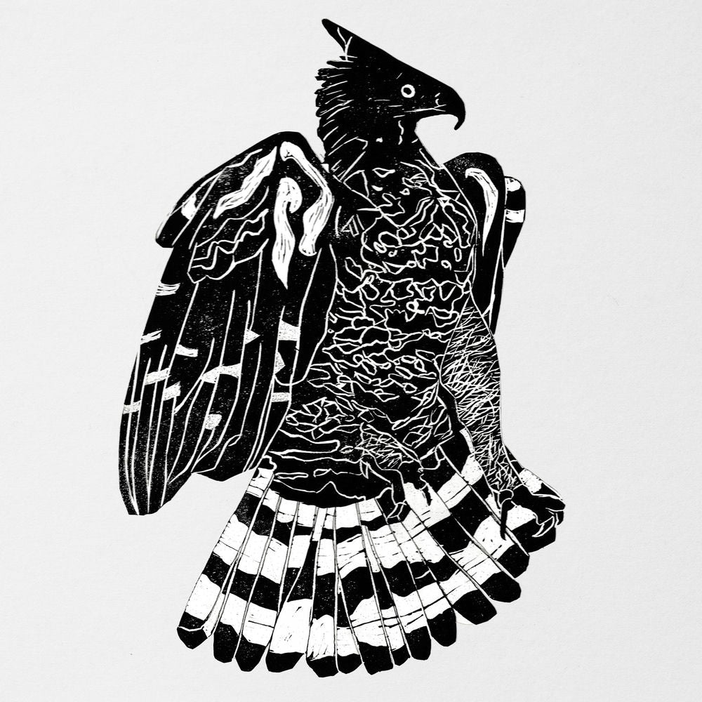 Crowned Eagle cover