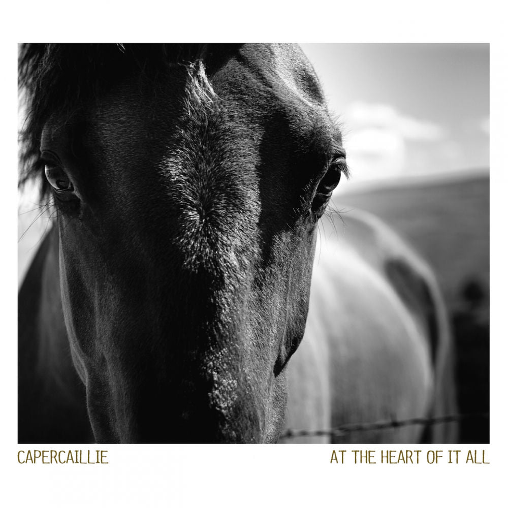At the Heart of It All cover