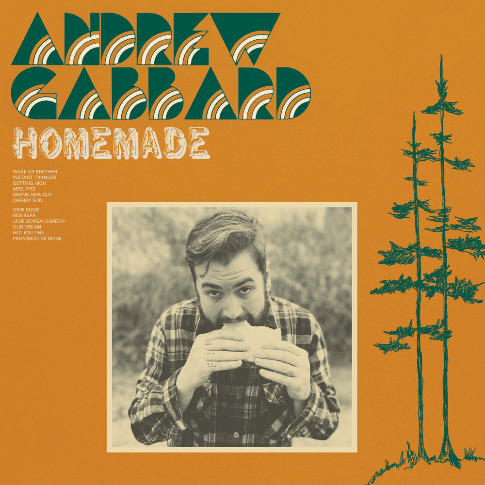 Homemade cover