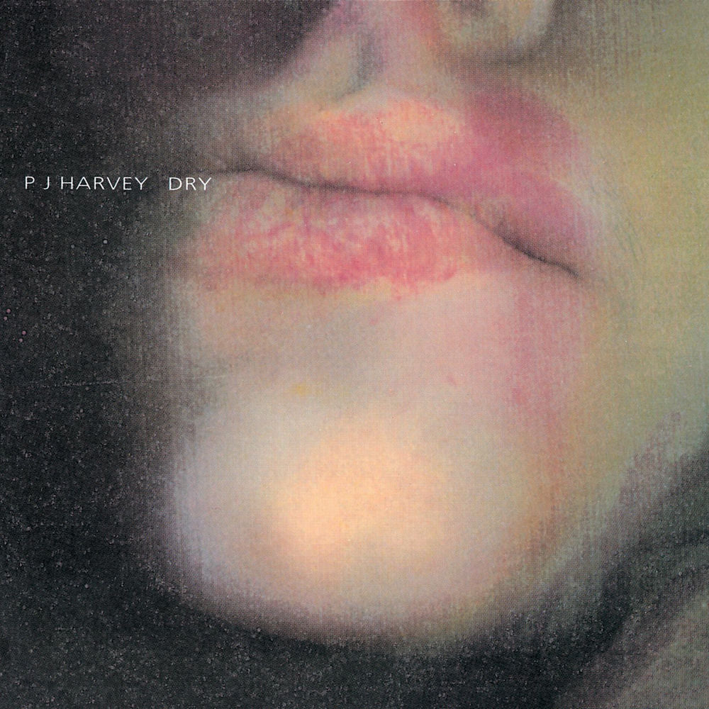 Dry [LP] cover