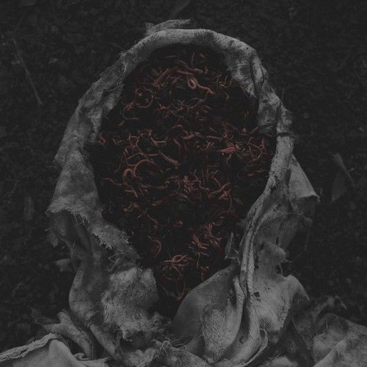 Stillamentum cover