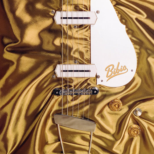 BIB10 cover