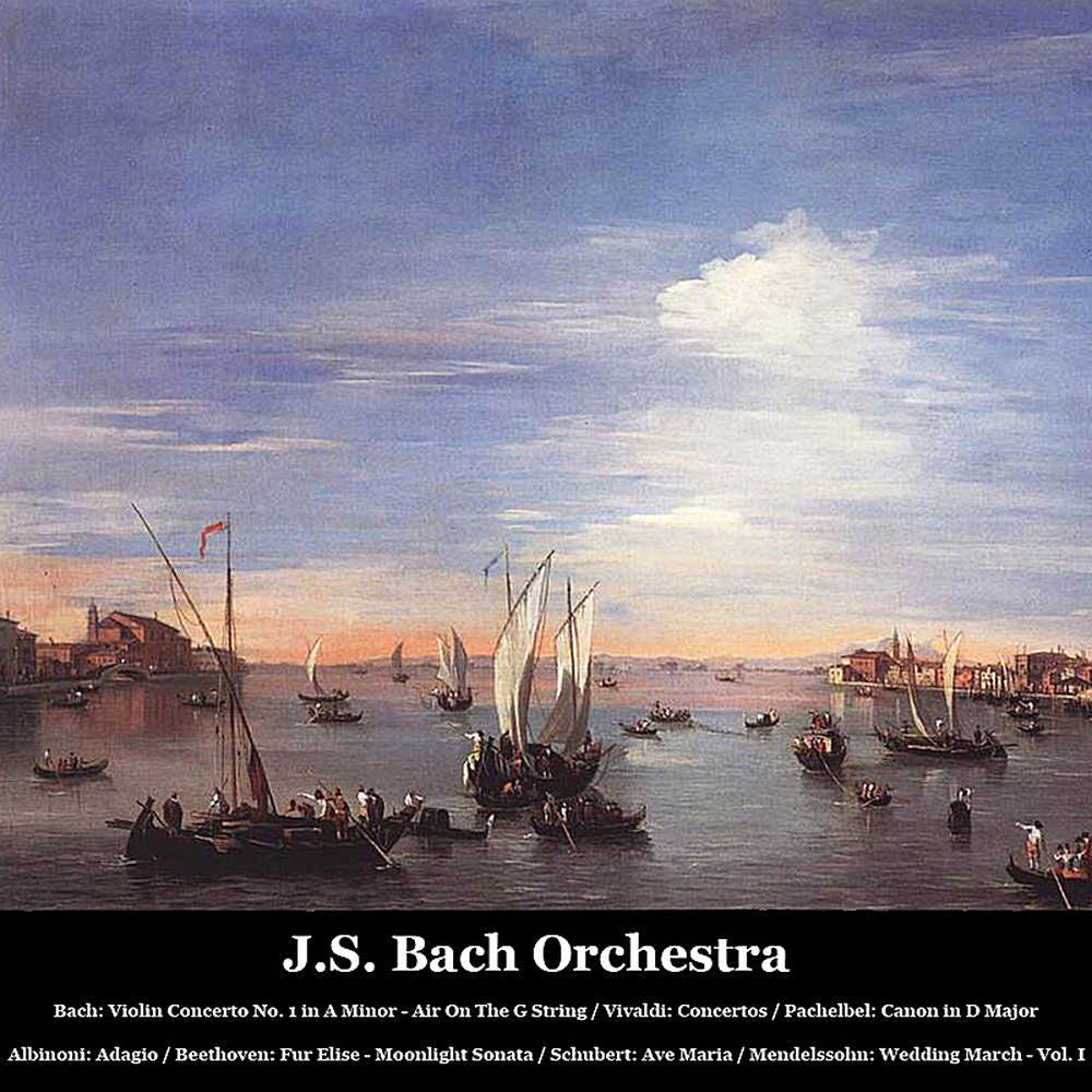 Violin Concerto E Major cover