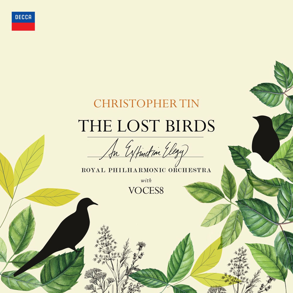The Lost Birds[LP] cover