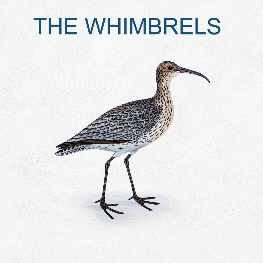 The Whimbrels cover