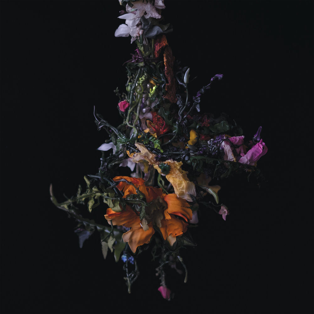 nature morte cover