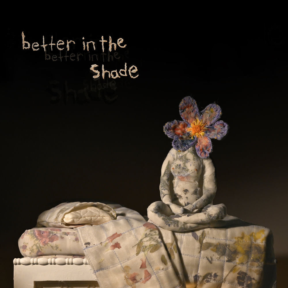 Better in the Shade cover
