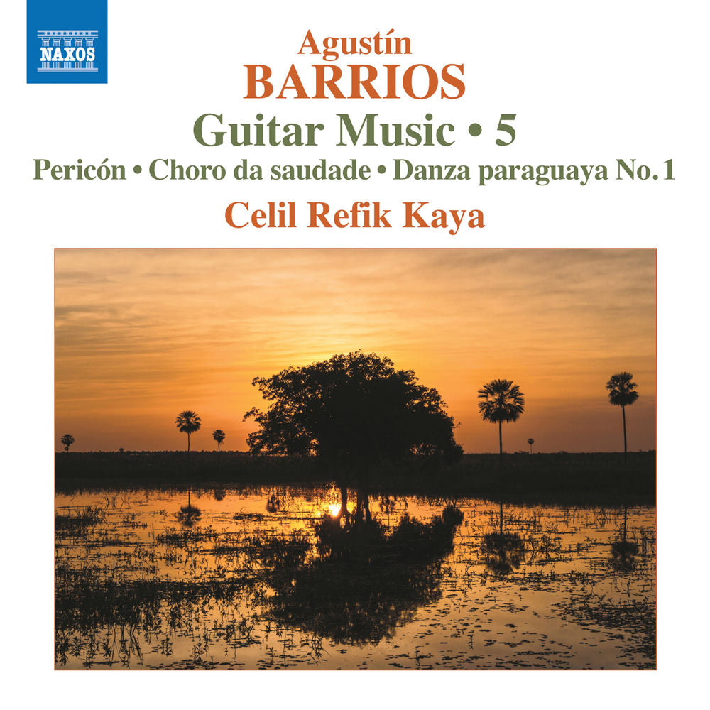 Guitar Music 5 cover