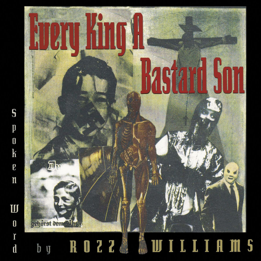 Every King A Bastard Son cover