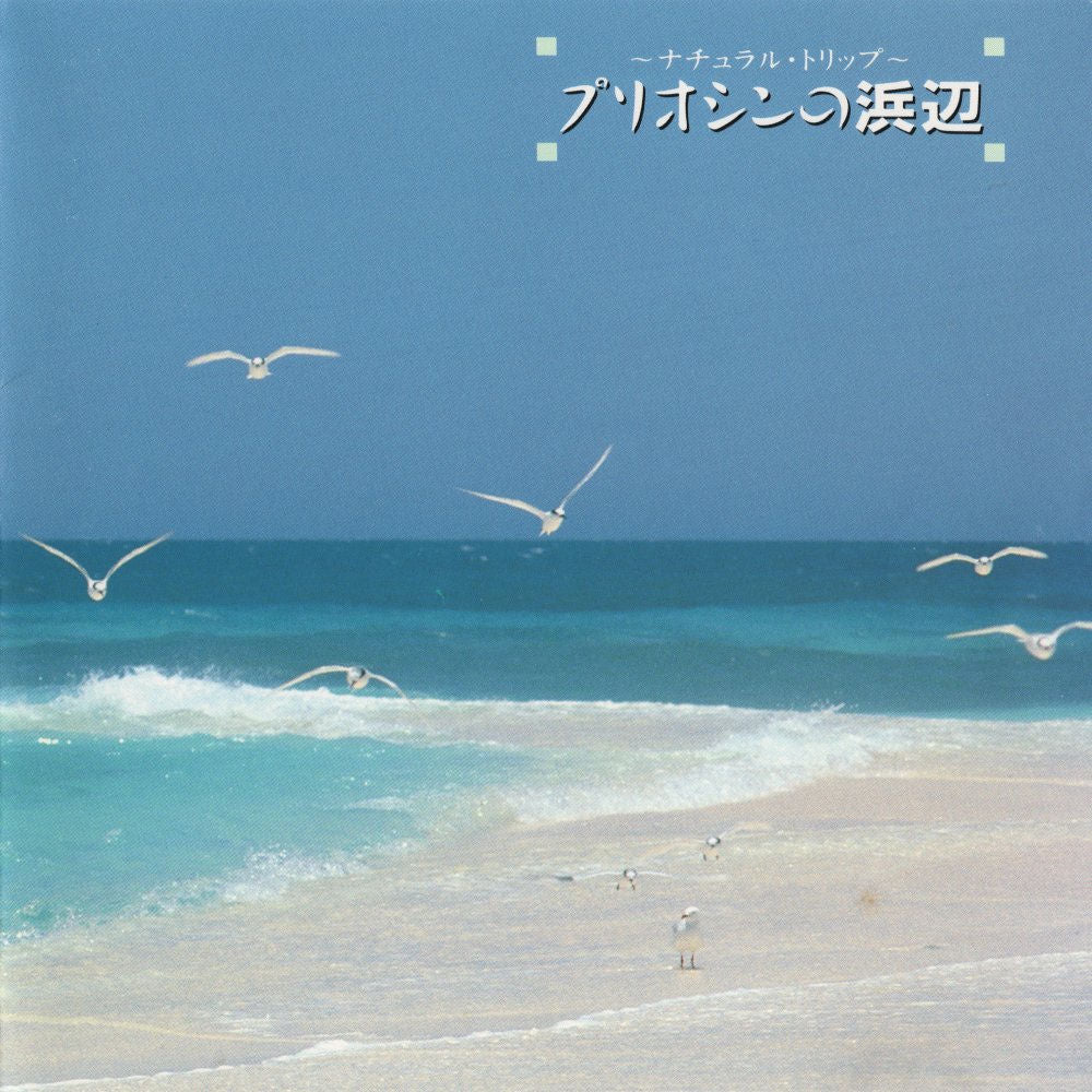 Beach of the Pliocene cover