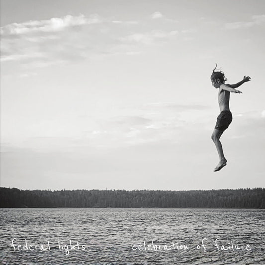 Celebration Of Failure cover