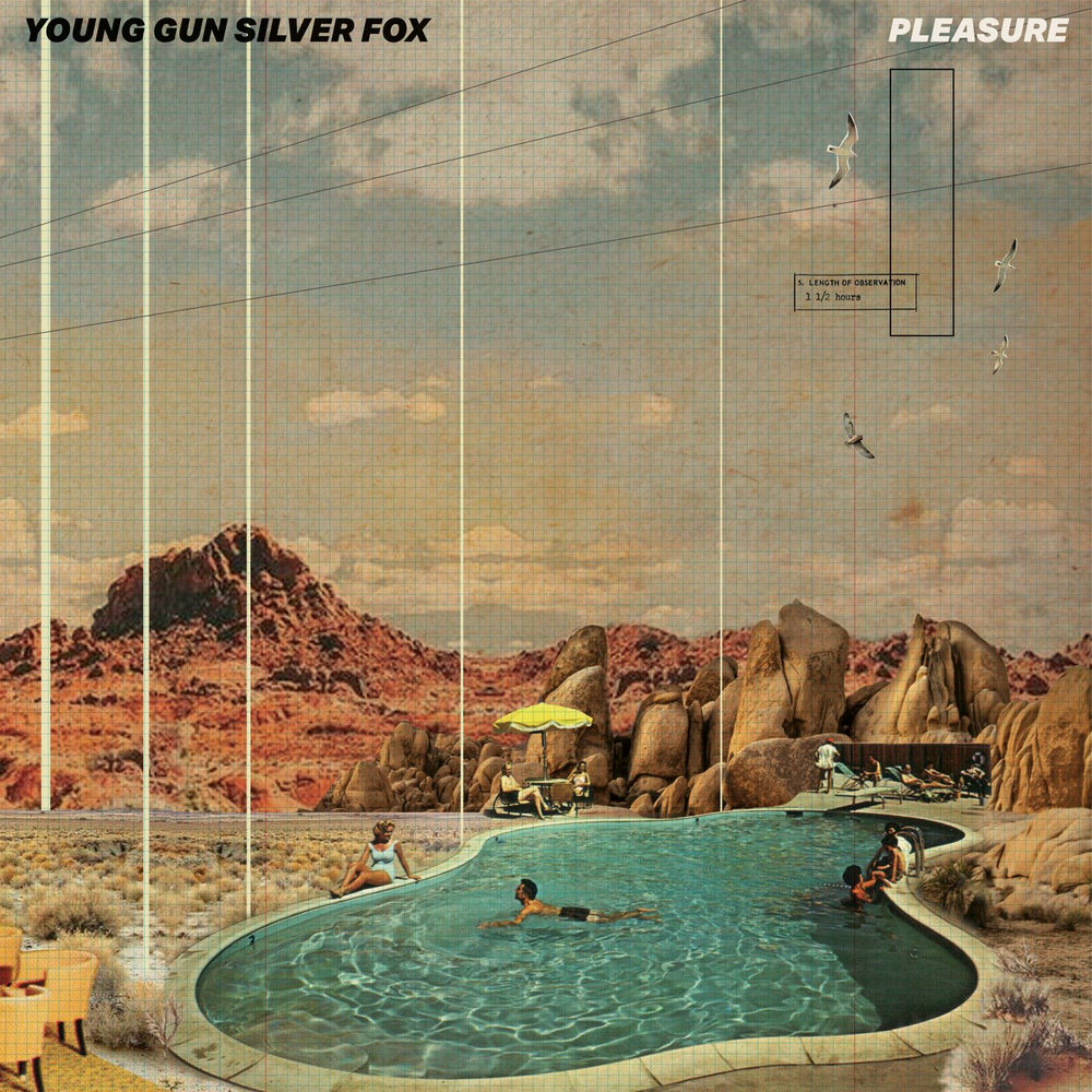 Pleasure - Silver cover
