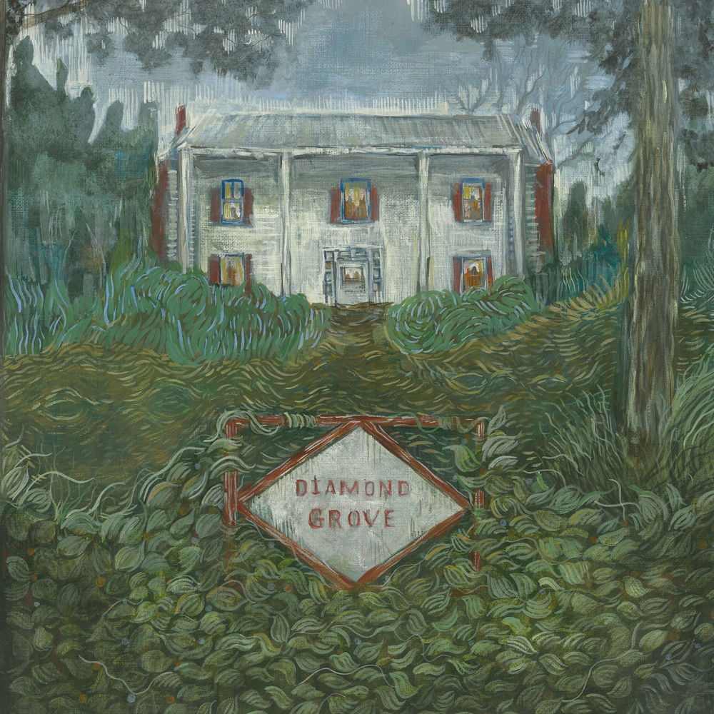 Diamond Grove cover
