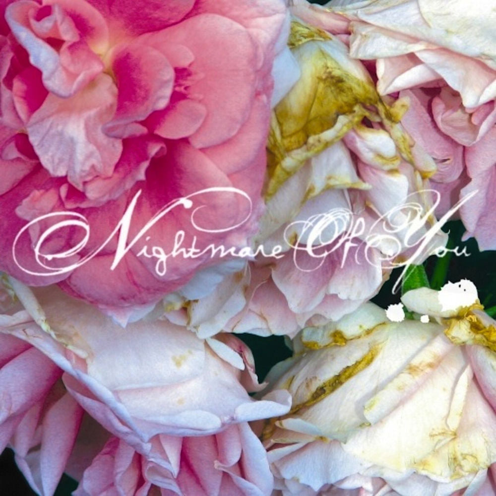 Nightmare Of You cover