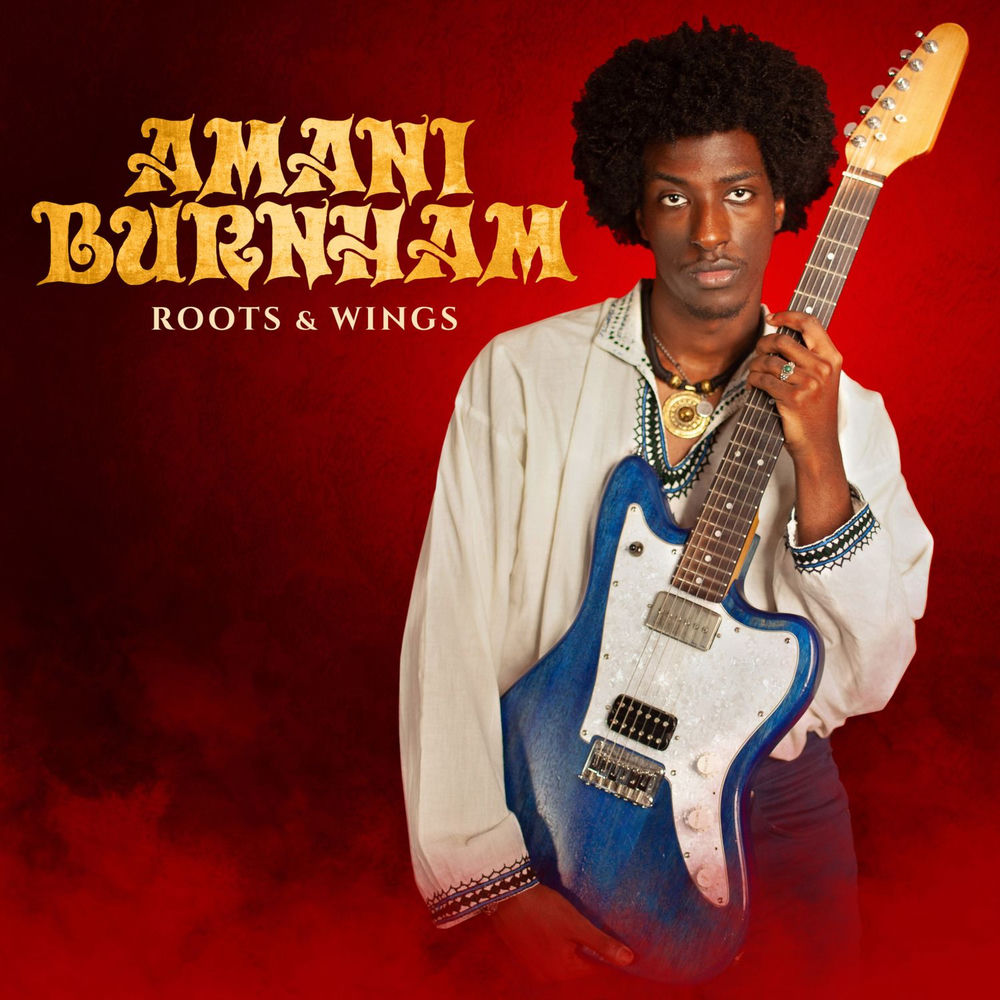 Roots & Wings cover