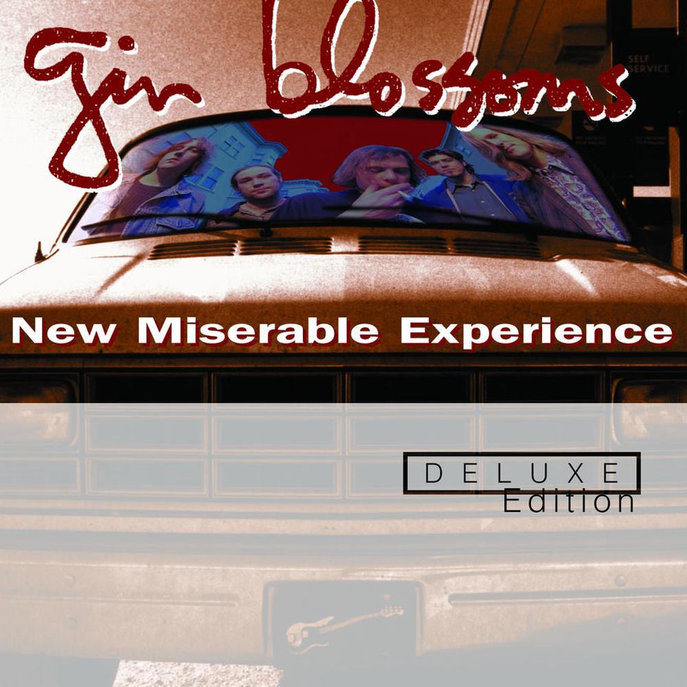 New Miserable Experience [LP] cover