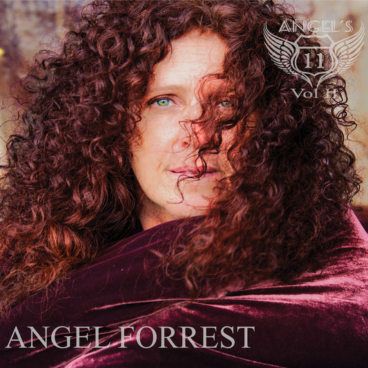 Angel's 11 Vol II cover