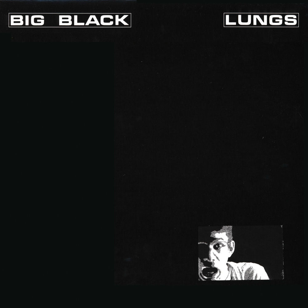 Lungs cover