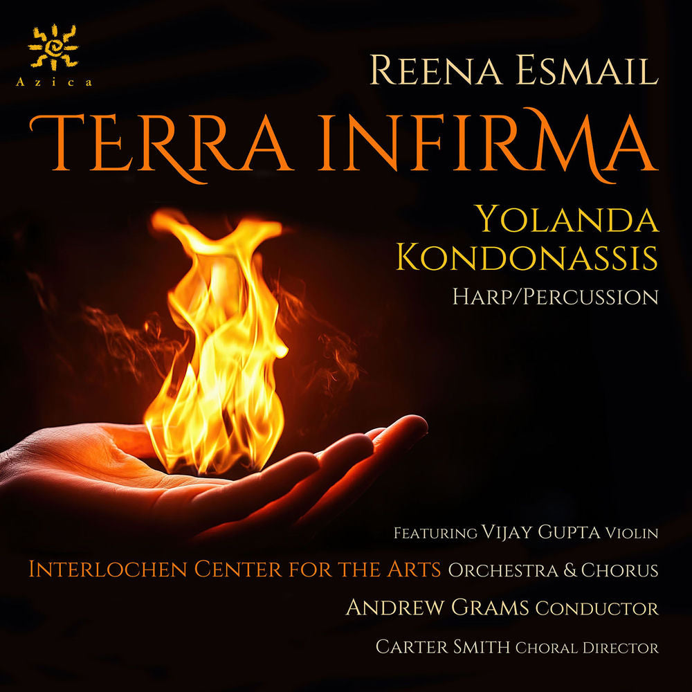 Terra Infirma cover
