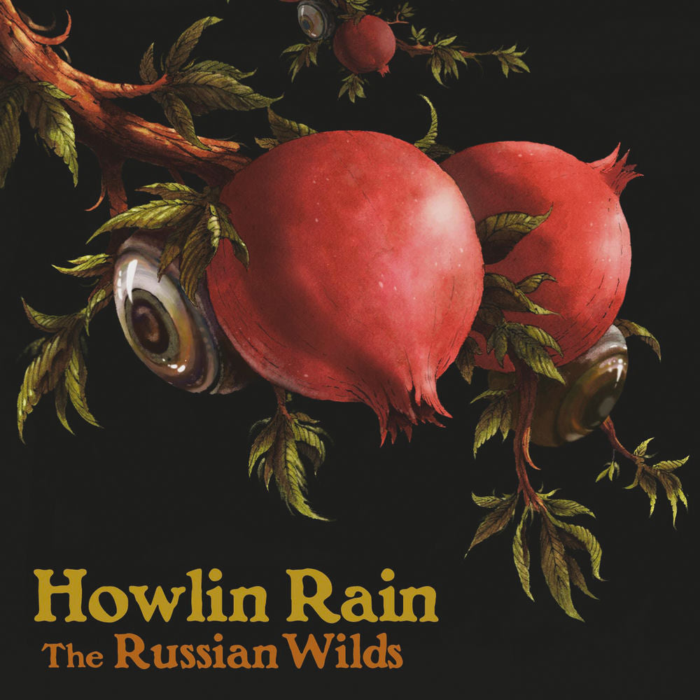 Howlin Rain cover