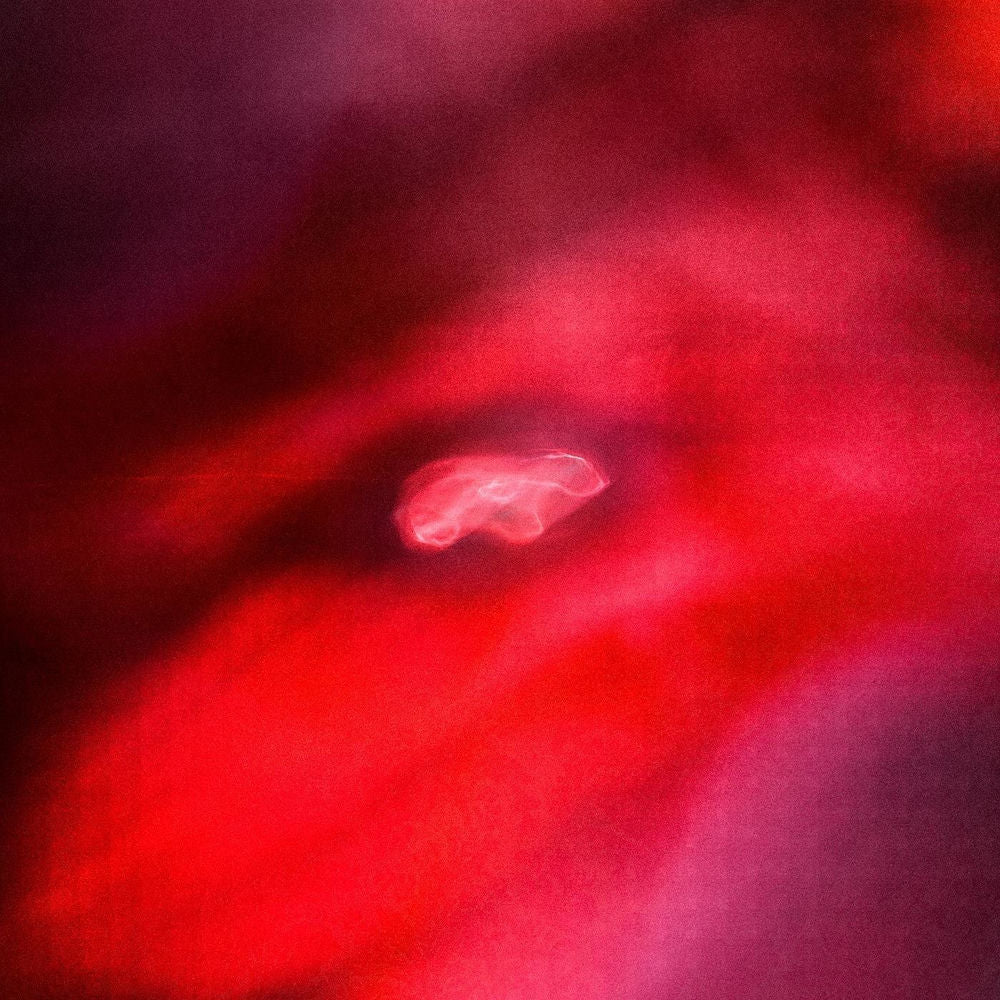The Faded Orbit cover