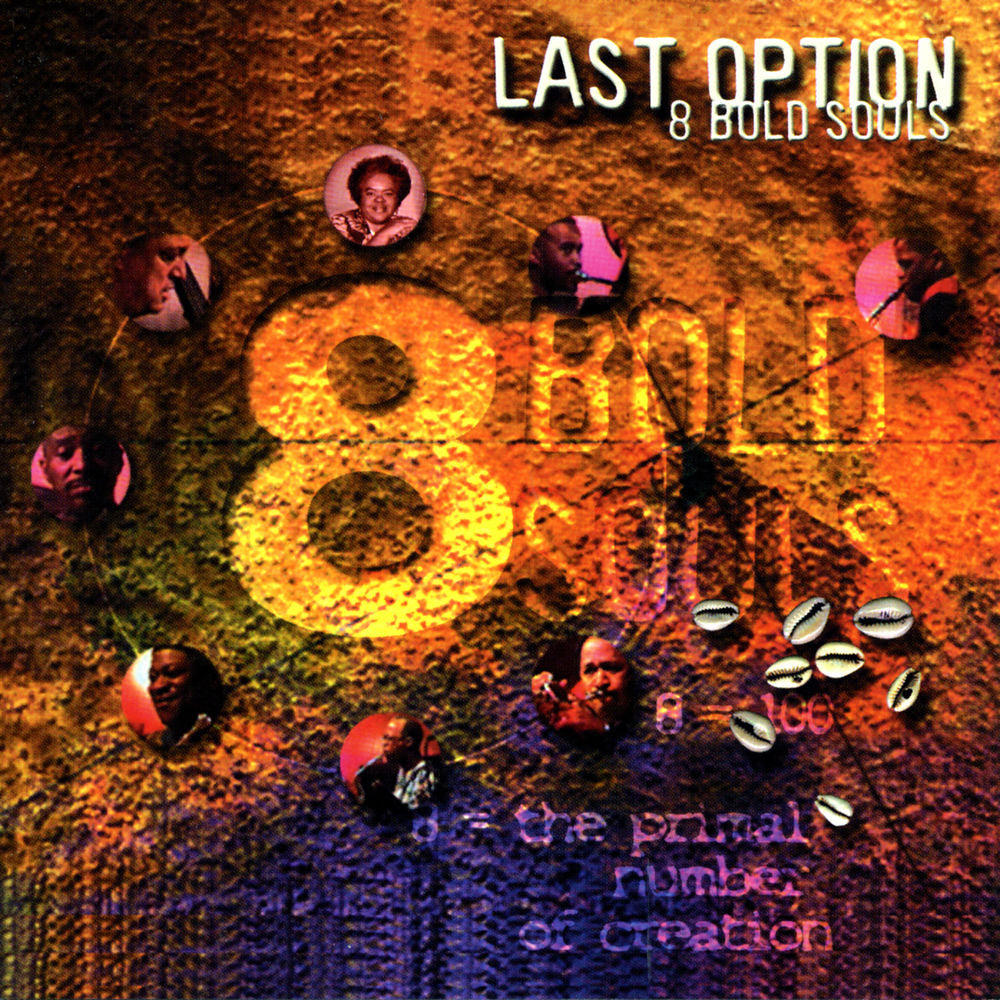 Last Option [VINYL] cover