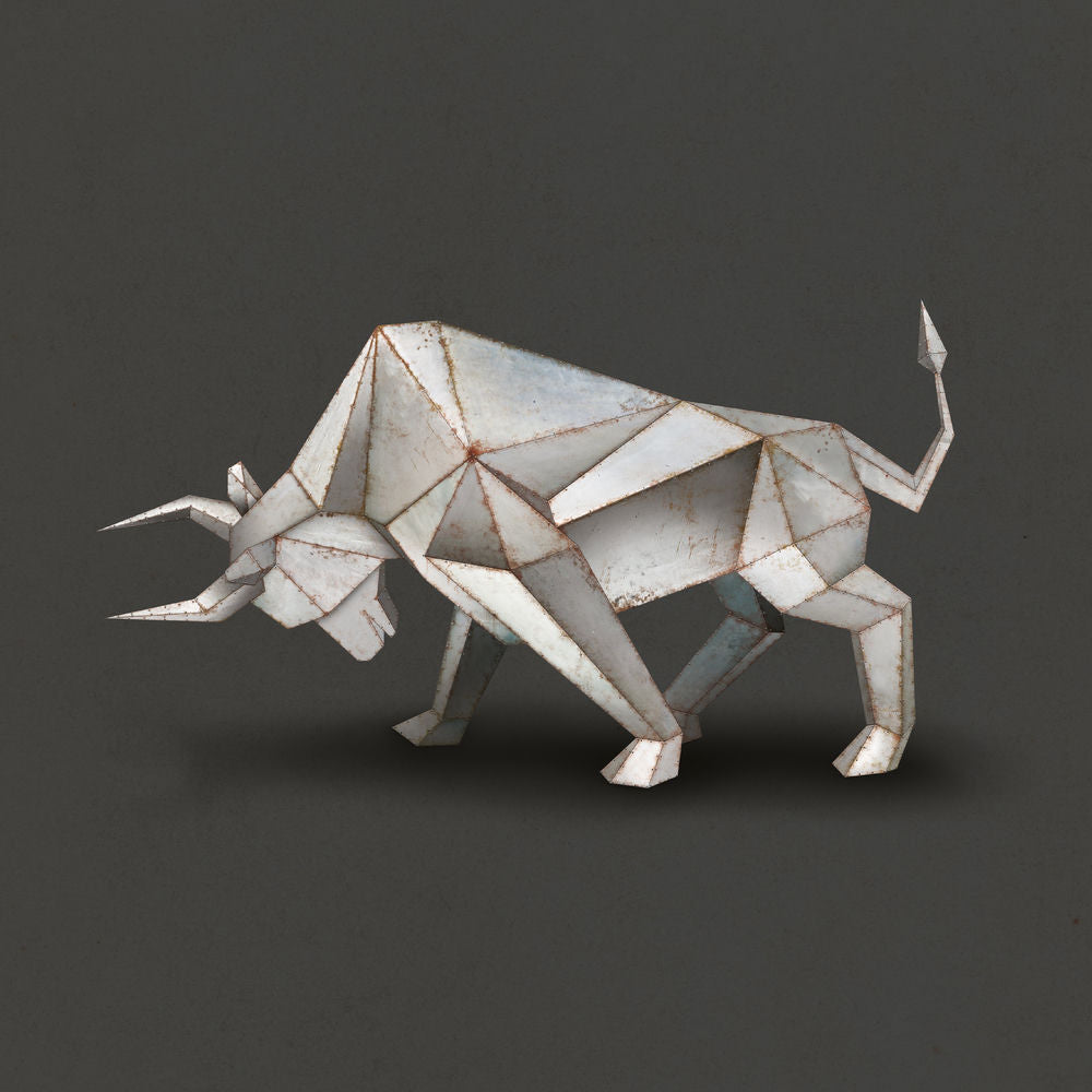 Iron Bull cover