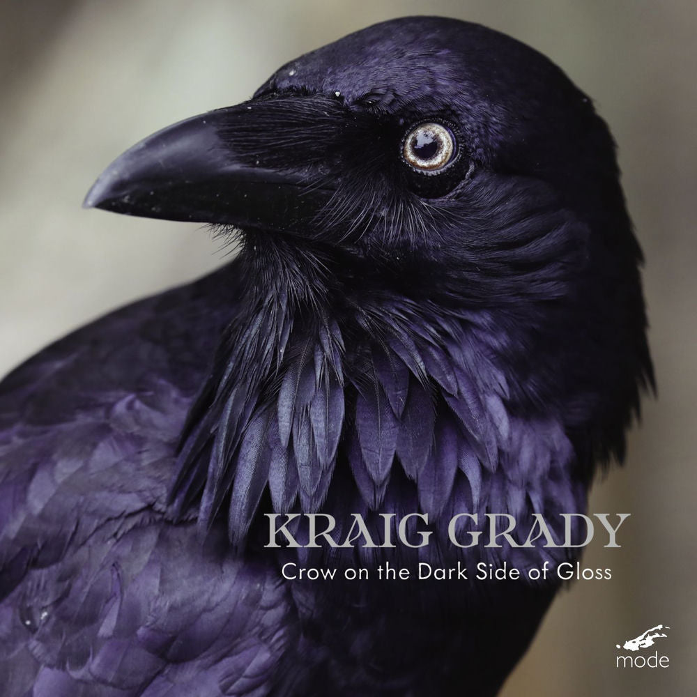 Kraig Grady: Crow on the Dark Side of Gloss cover
