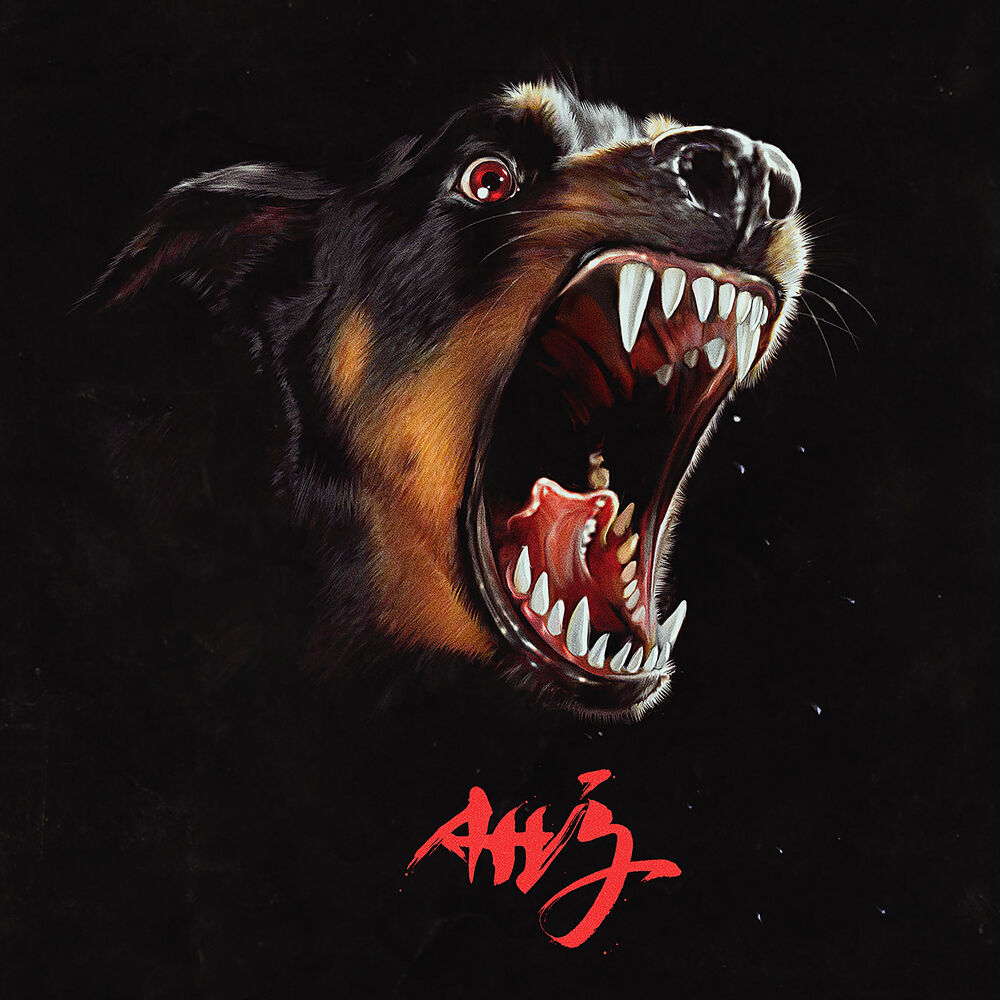 Ahj cover