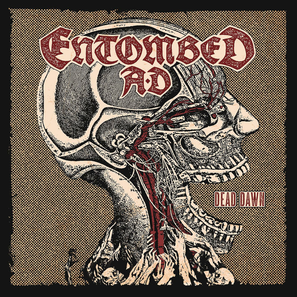 Dead Dawn cover