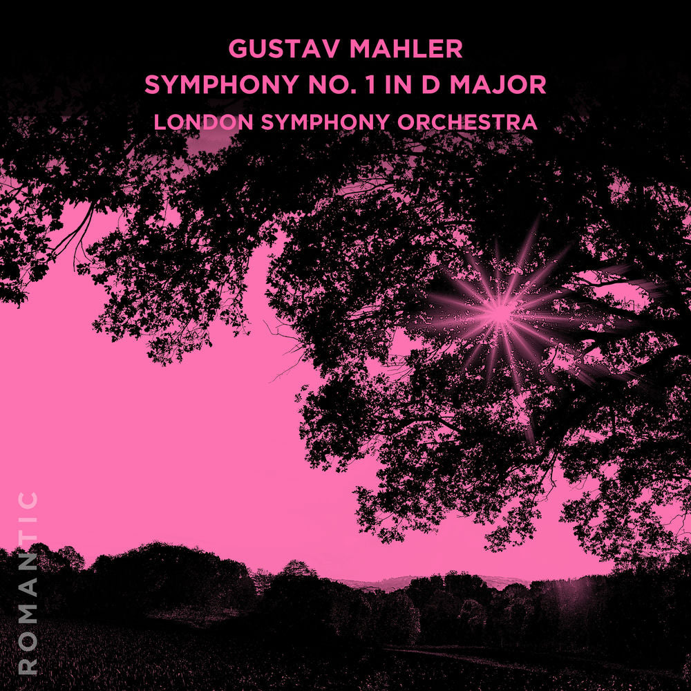Symphony 1 D Major cover