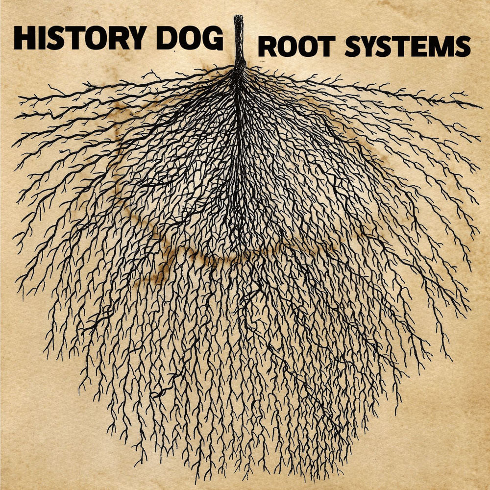 Root Systems cover