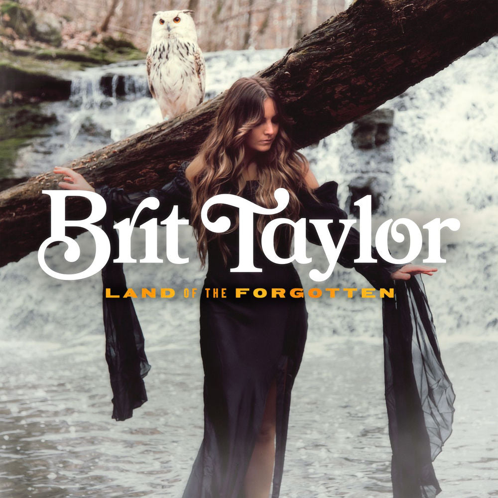 Land Of The Forgotten cover