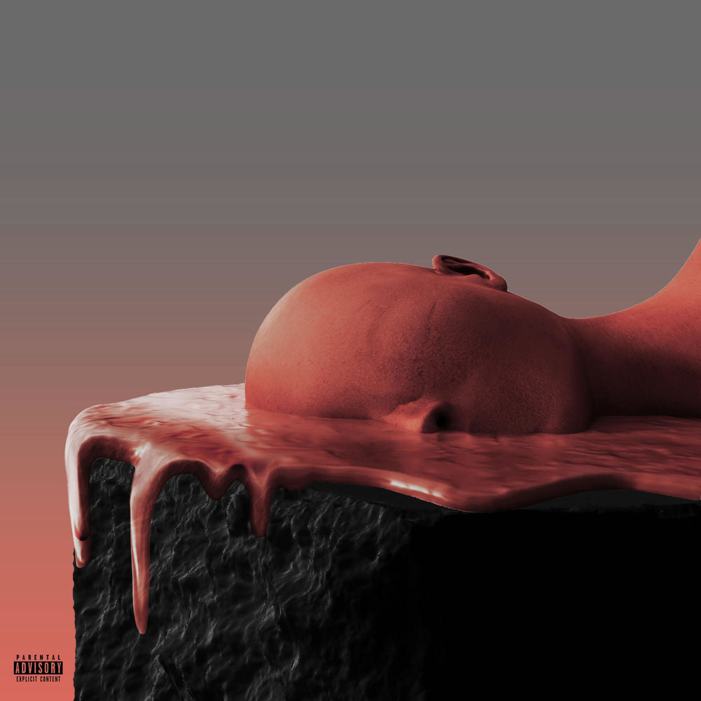 Mannequin cover