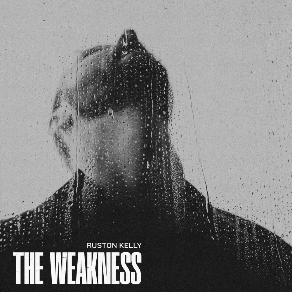 The Weakness[Holy Silver LP] cover