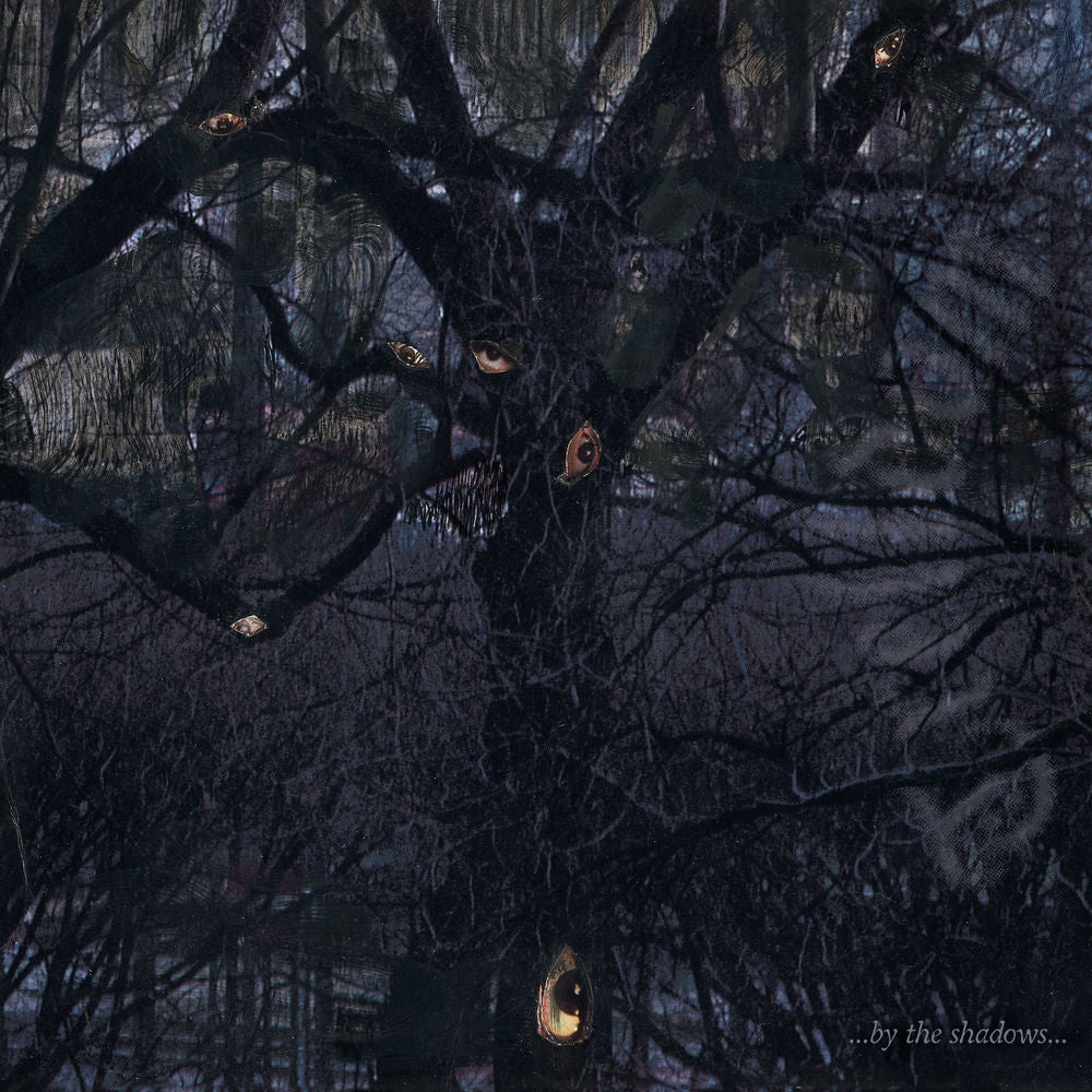 ...by the Shadows... cover