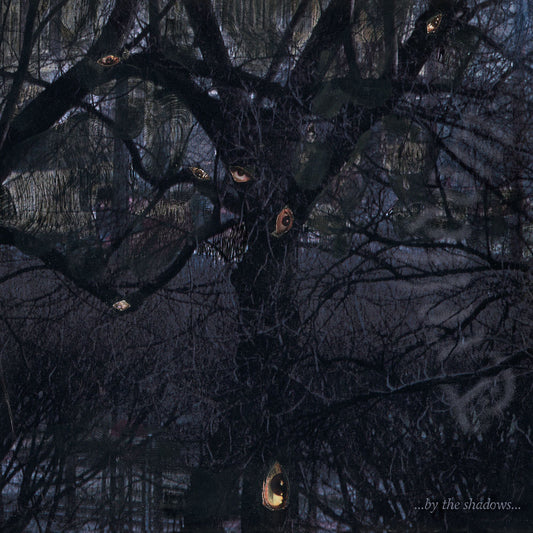 ...by the Shadows... cover