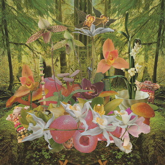 Return Two Paradise cover
