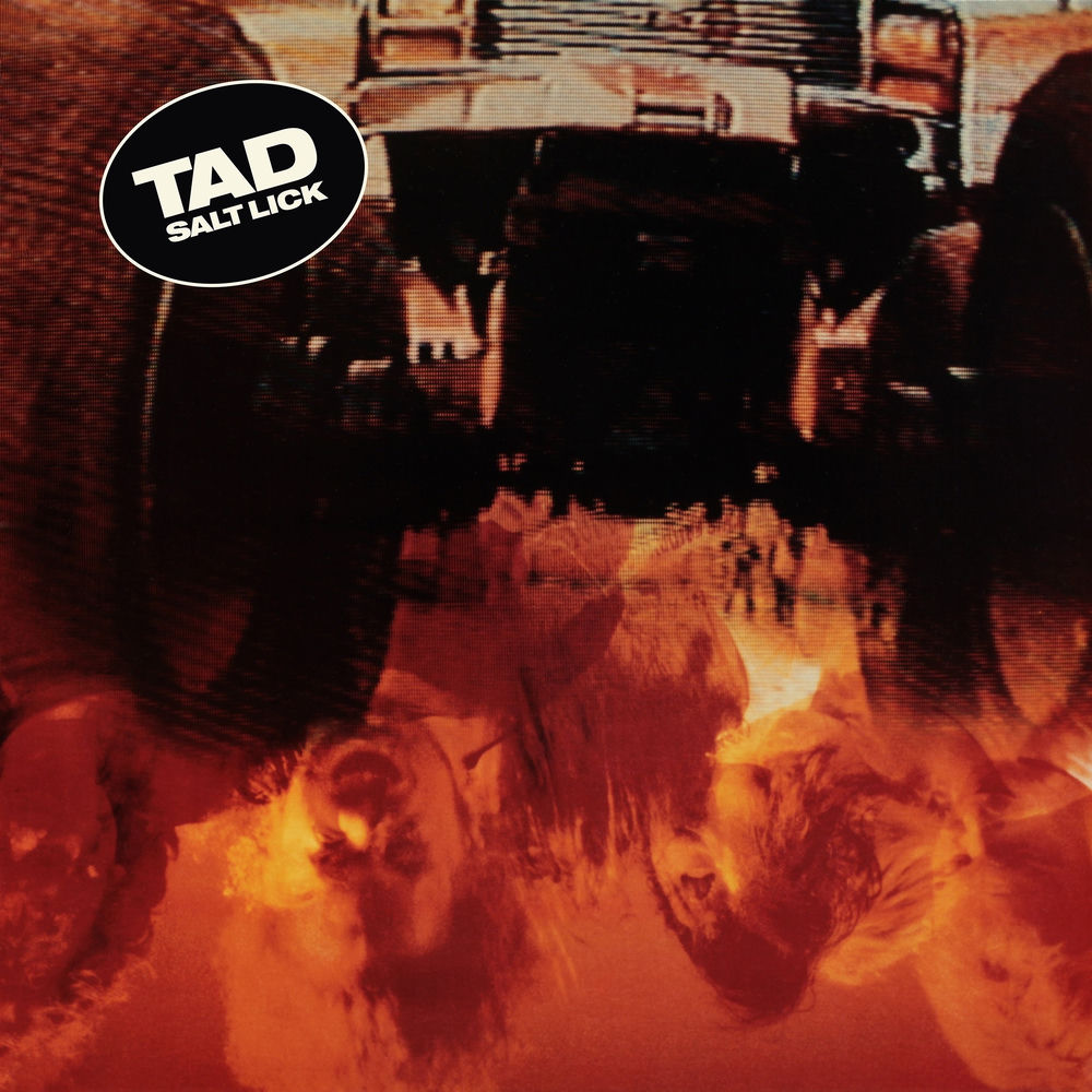 Salt Lick (Deluxe Edition) cover