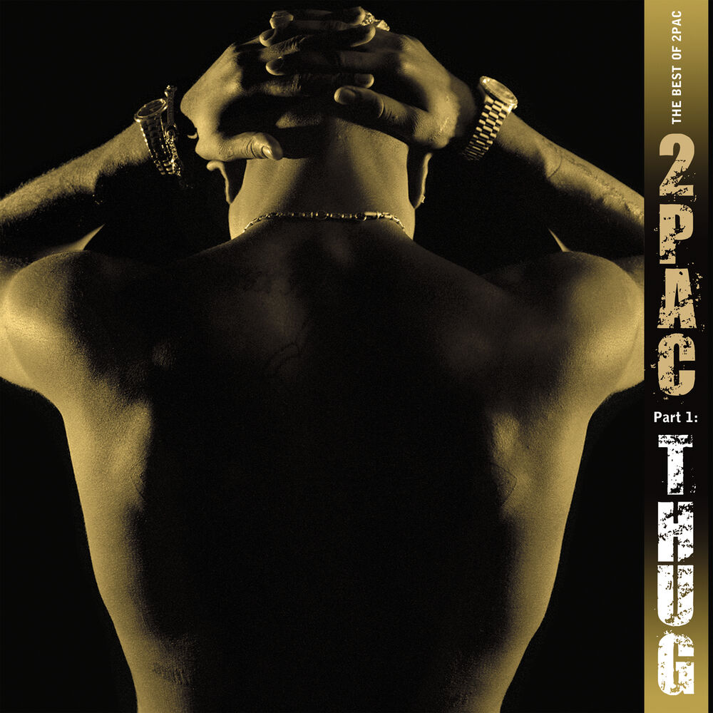 Best of 2pac - Pt. 1: Thug cover