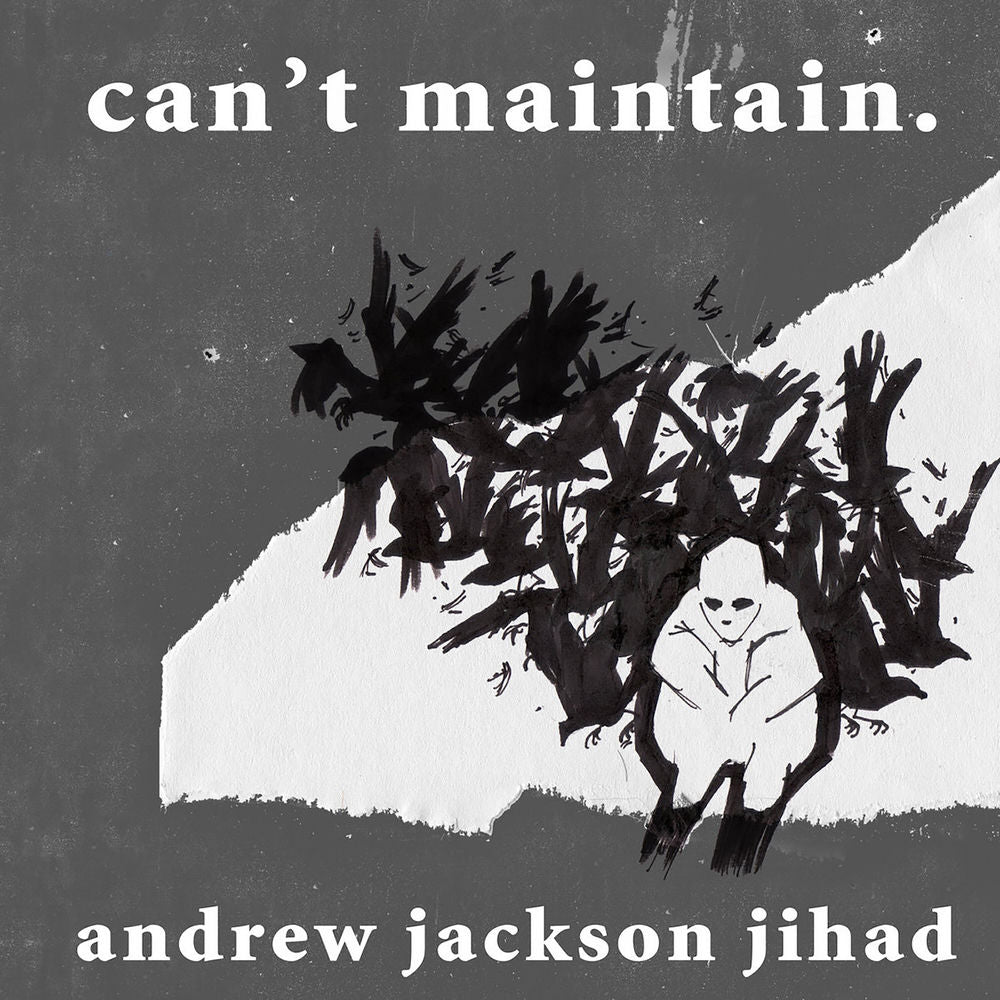 Can't Maintain [Vinyl] cover
