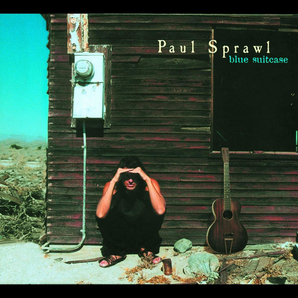 Blue Suitcase cover