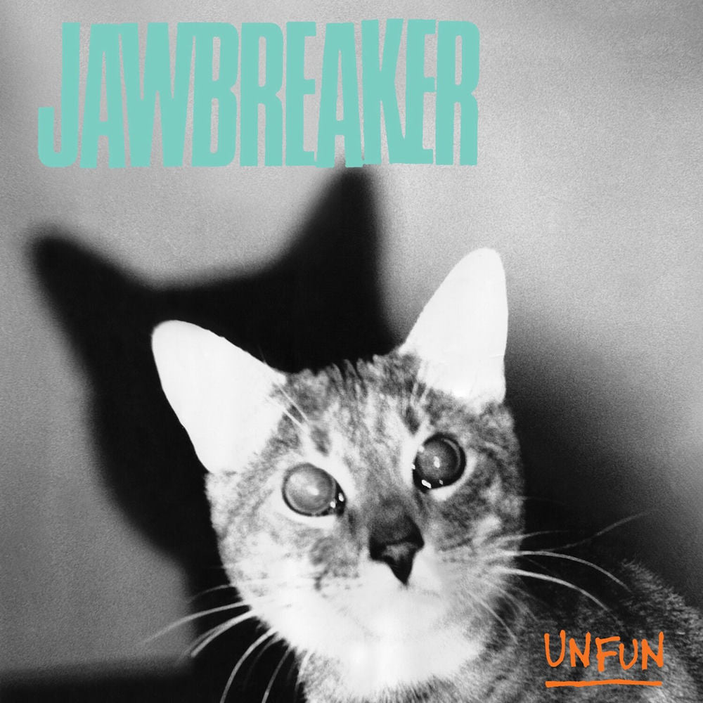 Unfun [Vinyl] cover